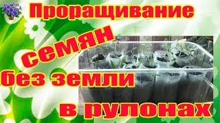 Проращивание семян без земли (в рулонах) Часть 1-я