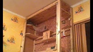 витрина для шиншилл своими руками