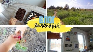 ДОМАШНИЙ ВЛОГ 04.06.2019 | ПЛАНЫ ПО ДЕКОРУ | УДОБРЯЮ ТОМАТЫ
