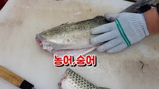 농어,숭어 회뜨기 [모듬회] "청주농수산시장"