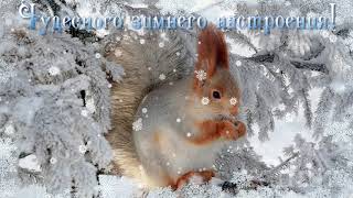 ДОБРОГО ЗИМНЕГО ДНЯ!#музыкальная видео открытка#   komur