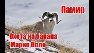 Памир | Охота на барана Марко Поло (RUS)