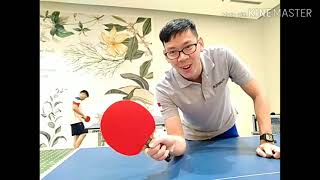 Review Karet berkualitas, murah,  cocok untuk Spinner [Yinhe Jupiter II]