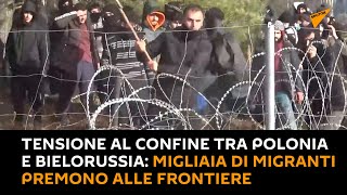 Tensione al confine tra #Polonia e #Bielorussia: migliaia di migranti premono alle frontiere