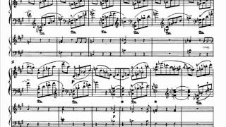 Schumann piano concerto in A minor op. 54 Allegro vivace [3\3]