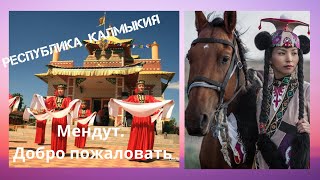 Родная степь