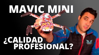 MAVIC MINI, ¿Puedo ĢANAR DINERO con él? + Ganadores Sorteo