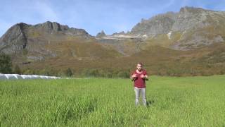 Jakten på Sunnmøringen: Promo