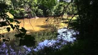 Canon Vixia HF R500 Sample Video