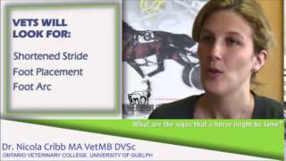 How to tell if your horse is lame by Equine Guelph and Dressage Hub