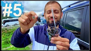 #5 СЕМЕЙНОЕ ПУТЕШЕСТВИЕ НА МАШИНЕ С ДЕТЬМИ 2019 / РОССИЯ ,ГРУЗИЯ,АРМЕНИЯ /Toyota Land Cruiser Prado