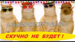 Мы все деградируем