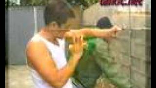 Defensa personal Real - técnicas taikic