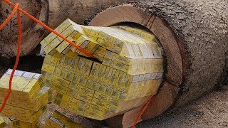 10 Smartest and Most Incredible Smugglers in All History