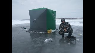 Маныч. Зимняя рыбалка. Веселовское водохранилище. Новая палатка. Шашлык на льду