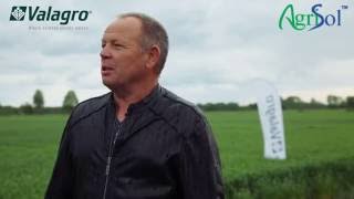 Досвід застосування продукції Валагро на пшениці. Житомирщина 2016 рік.