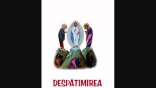 Protosinghel Teofan Mada - Predică la Duminica Ortodoxiei (continuare)
