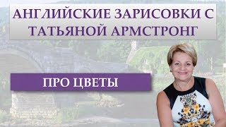 Шопинг по-английски. ALDI. Про цветы.