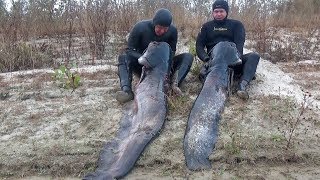 СОМ! Погнутые гарпуны и разломанные катушки. Разбор ошибок прошлого сезона подводной охоты на сома.