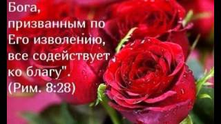"А если даже и не так"!- стих