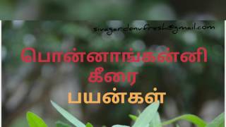 Ponnanganni Keerai Benefits
