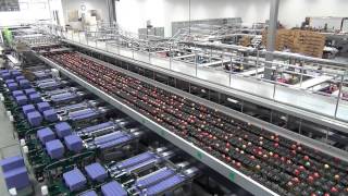 GREEFA - Columbia Reach Pack - GeoSort 10 lane sorting and packing line for apples in the USA