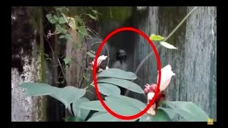 КАМЕРА ТАСВИРИГА ТУШИБ КОЛГАН ШАЙТОНЛАР