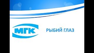 Рыбий глаз