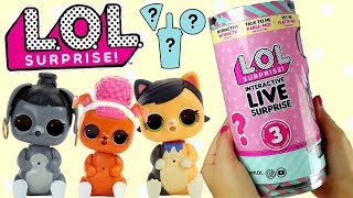 LOL Surprise • Interactive LIVE Surprise • po polsku