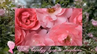 Ах, какая женщина на фото!