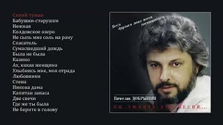 Вячеслав Добрынин - Вы любите эти песни (official audio album)