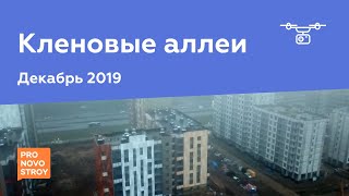 ЖК "Кленовые аллеи" [Ход строительства от 17.12.2019]