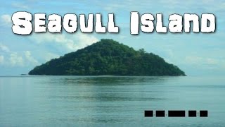 SCP-930 Seagull Island | Euclid | Avian / Predatory / Location scp