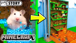 Hamster Vertical Maze - MINECRAFT WORLD