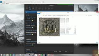 Skyrim NMM, LOOT, and Wrye bash tutorial