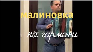 Малиновка