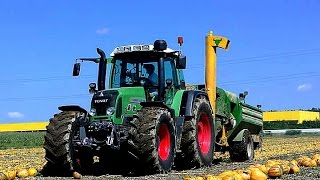 Kürbisernte | 2x Fendt mit Fürnschuss Green Bull