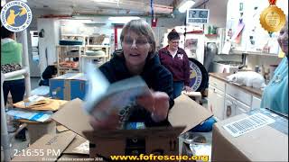 FFRC Boxes and Updates on 3/11/2019