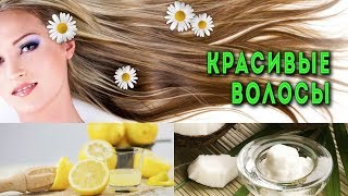 Как ИЗБАВИТЬСЯ от СЕДЫХ ВОЛОС с помощью лимона и кокосового масла
