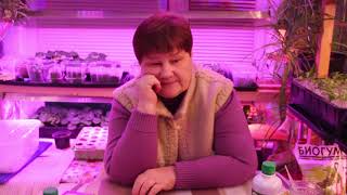 ПОСЫЛКА ОТ ПОДПИСЧИЦЫ! Я В ШОКЕ!!! 28.01.20