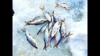 ЭТИ МОНСТРЫ РВУТ МОРМЫШКИ.Зимняя рыбалка на малой реке.