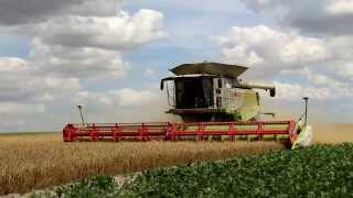 BIG HARVEST - LEXION 770 & CASE AXIAL FLOW 2388