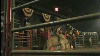 Lot #3493 - 4yr Old Bucking Bull - Video 1 of 3
