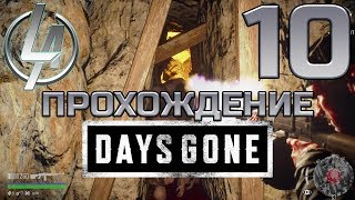 Days Gone(ps4) ► Десятый Стрим ► Уничтожаем ОРДУ ► Жизнь после ► Прохождение