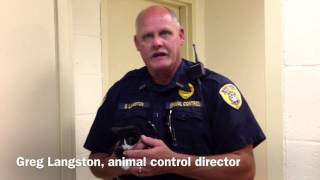Warner Robins shelter offers cost-savings for adoptions