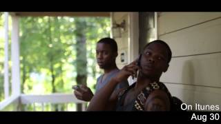 JusRay - No losses