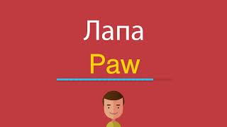 Лапа по-английски