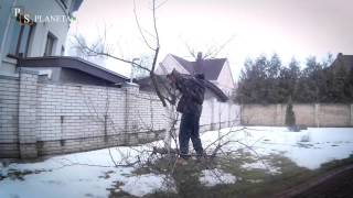 Спил дерева бензопилой STIHL MS180