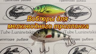 Воблеры для троллинга на мелководье.Воблер JAXON KARAS.Воблер OSKO.