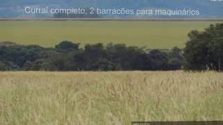 Ótima fazenda em Indiara GO